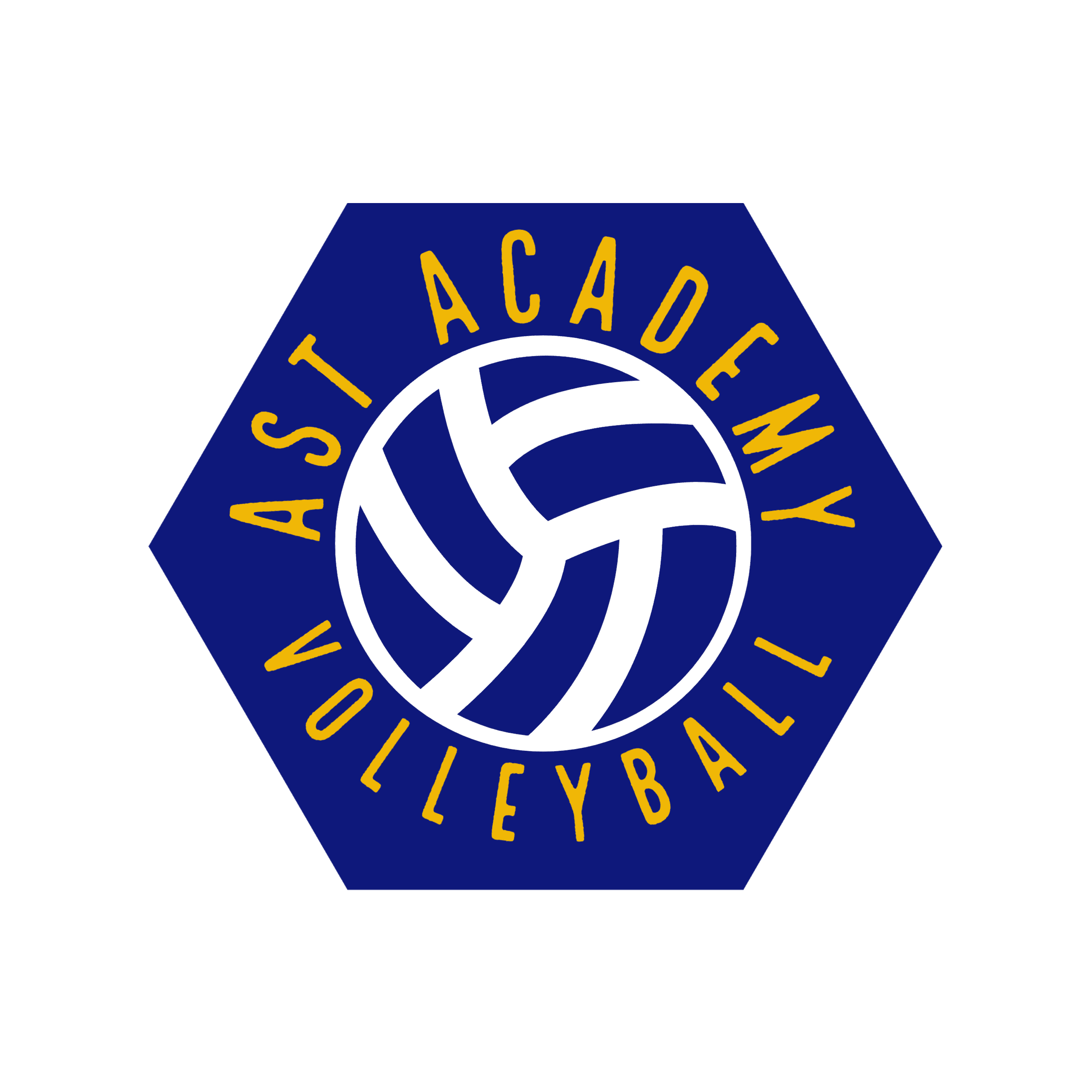 AST VOLLEYBALL Logo